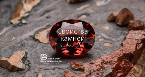 www.shop.syncrolife.ru