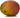 манго