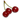 Ягоды вишни