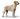 Сет знакомство для крупных собак Petpit