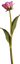 Цветы