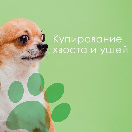 Капли от ушного клеща для собак