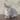 Devon-Rex