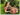 <img scr = "foto sofia.jpg" alt = " Фото София" />