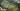Eco-friendly cottage village, architectural render of the exterior aerial view