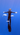 freediving kids