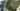 Visualization of a cottage settlement, natural landscape, water surface render for an investor
