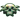 mana leech dex jewel