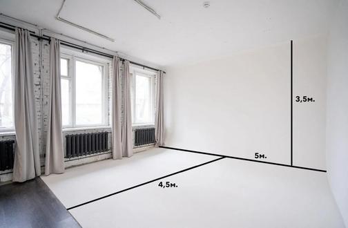 Фотостудия для съемки с животными, аренда студии для фотосъемки для ...