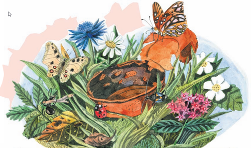 Издательство ВИТА-ПРЕСС