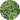 Солянка холмовая