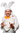 Кролик Рукосуев
