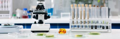 Янтарные концентраты Amberica