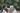 Wallpaper-palm-leaves-monstera-on-a-gray-background-in-the-interior-185-123