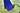 photo11