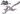 Енот