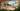 3D visualization of a school, architectural render for developers, educational building