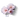 цветок вишни