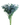 Сухоцветы