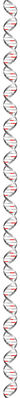 ДНК-организации