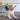 Devon-Rex