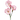 садовый цветок
