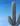 cactus, painting, Natali Kalalb, different beauty