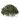 Куст