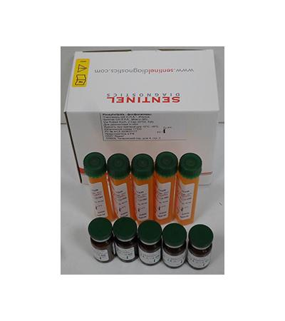 Фосфолипиды (Phospholipids) купить в Москве компания Ламес