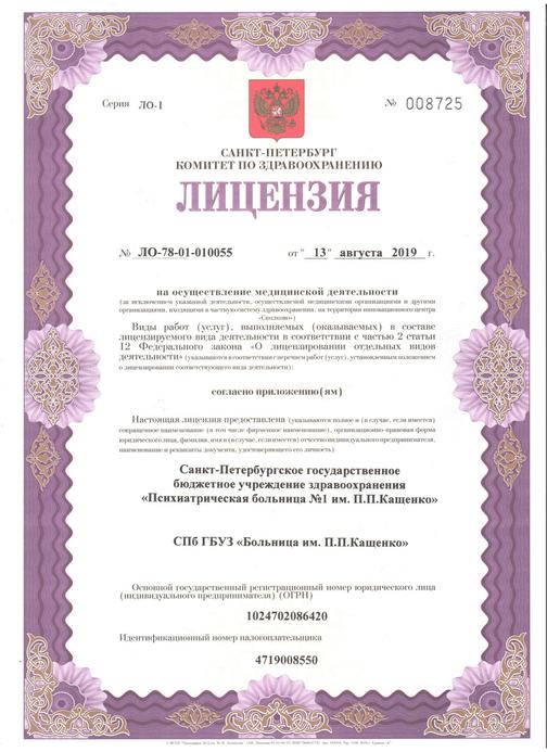 СПб ГБУЗ "Больница им. П.П. Кащенко": О медицинской деятельности ...