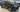 BMW X5 40d M-Sport 2024