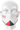 Отличия автошколы ДРАЙВ