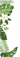 image leaves