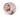 обучение ньюборн фотографии Пермь
