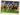 Dubai World Cup