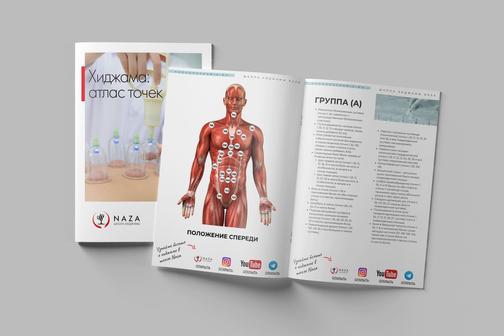 Скачать атлас точек хиджамы PDF