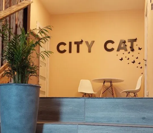 Бронирование номеров. Гостиница для кошек в СПб