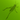 Логотип Grasshopper