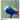 The Comoro Blue Pigeon is the national bird of Comoros.
