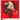 Eagle of Albania