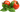 грядки дпк