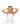 mariyafoto