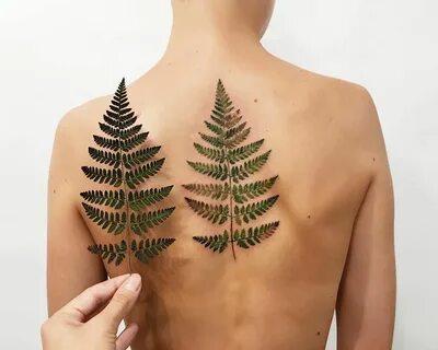 Tatuajes de helechos y su significado | Tatuantes
