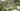 Mastaba bird 3D render Moscow, architectural visualization for developers aerial view