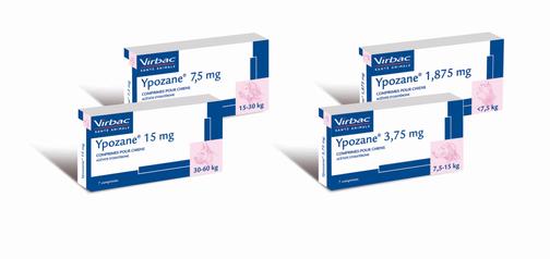 Купить Ипозан / Ypozane 3.75 мг: Европейское решение для здоровья ...