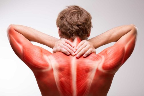 Спазм мышц: первая помощь – Центр здоровья спины и суставов «Стамина»