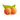 облепиха