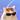 cat1