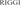 riggi logo