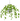 visit_tsvetok